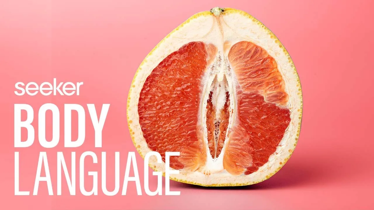 Everything You Didnt Learn In Sex Education About The Vagina ClassX
