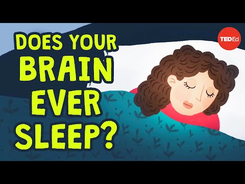 Can You Be Awake And Asleep At The Same Time?