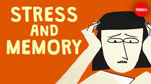 The Surprising Link Between Stress and Memory
