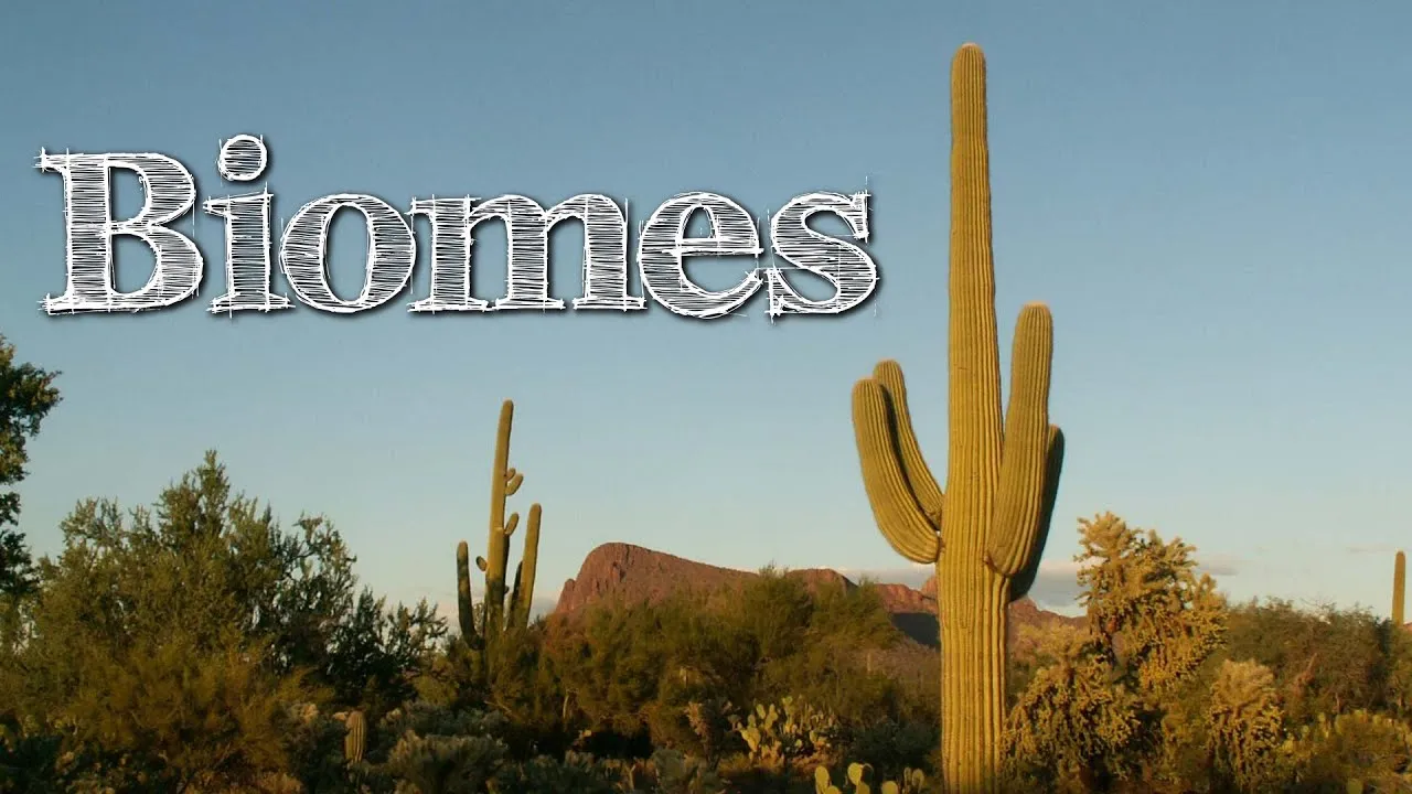 Biomes of the World for Children: Oceans, Mountains, Grassland ...