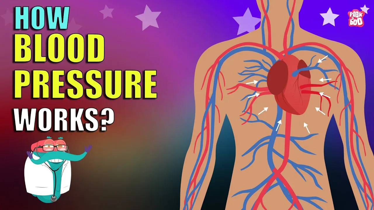 How blood pressure works blood pressure what is blood pressure