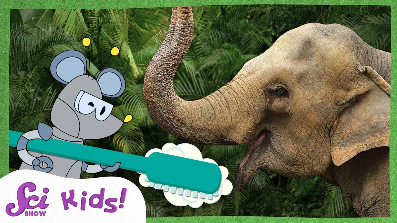 The Great Elephant Toothpaste Experiment! - ClassX