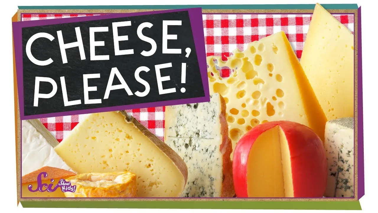 Why Does Some Cheese Have Holes? - ClassX