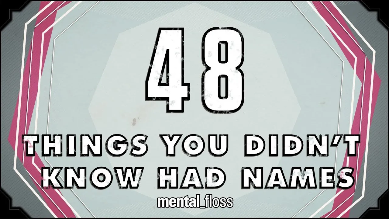 48 Names For Things You Didn t Know Had Names Ep 26 ClassX