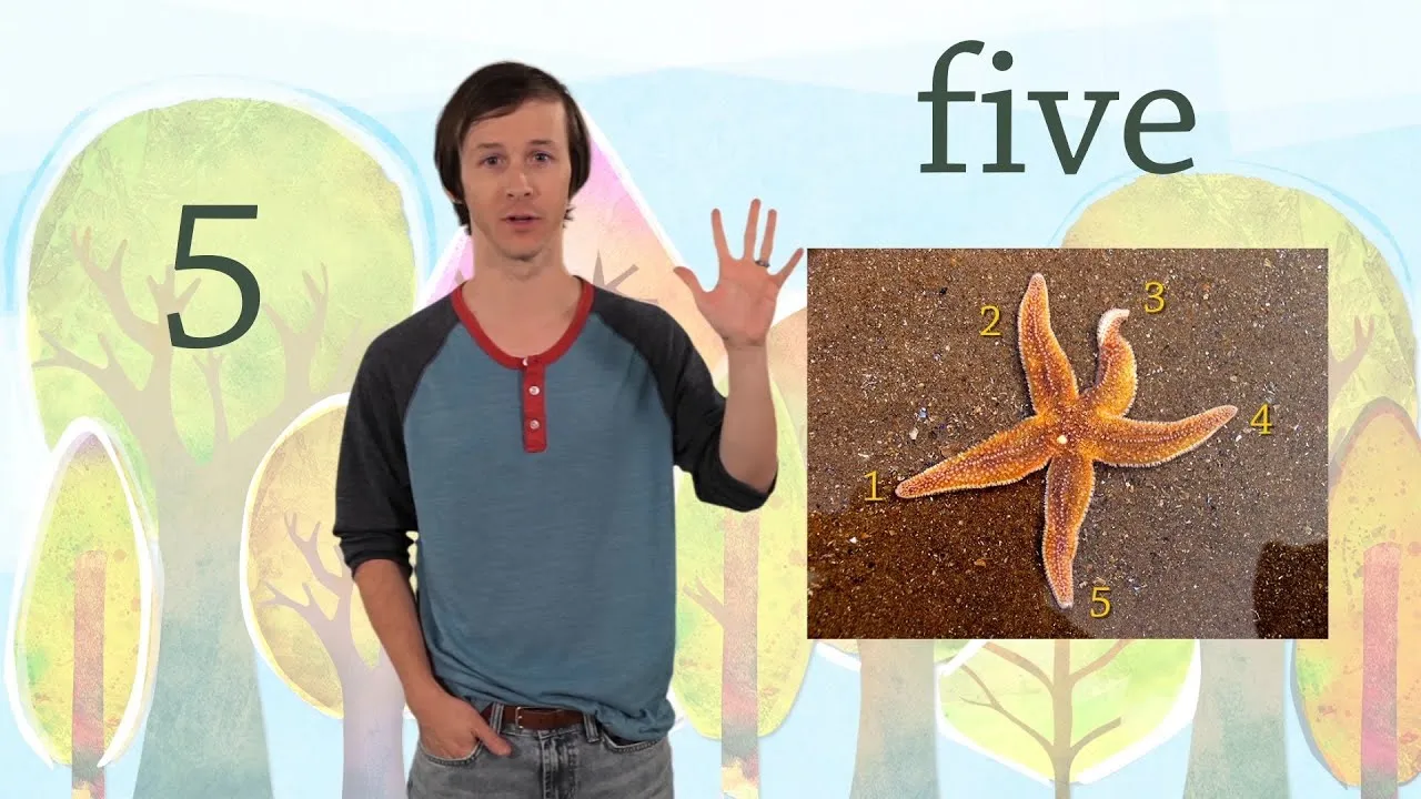 5: The Number Five - Kids Learn to Count Numbers - ClassX