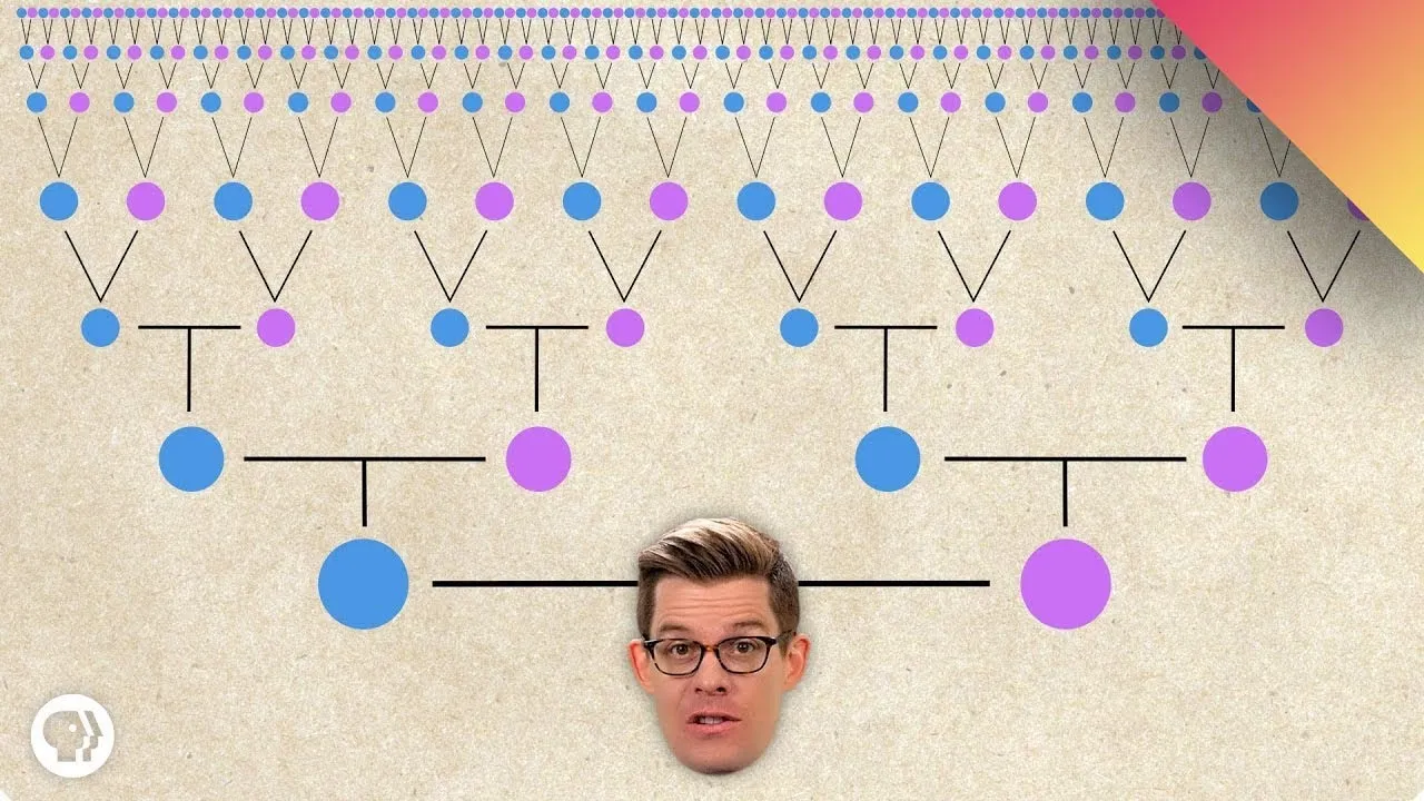Are We All Related? - ClassX