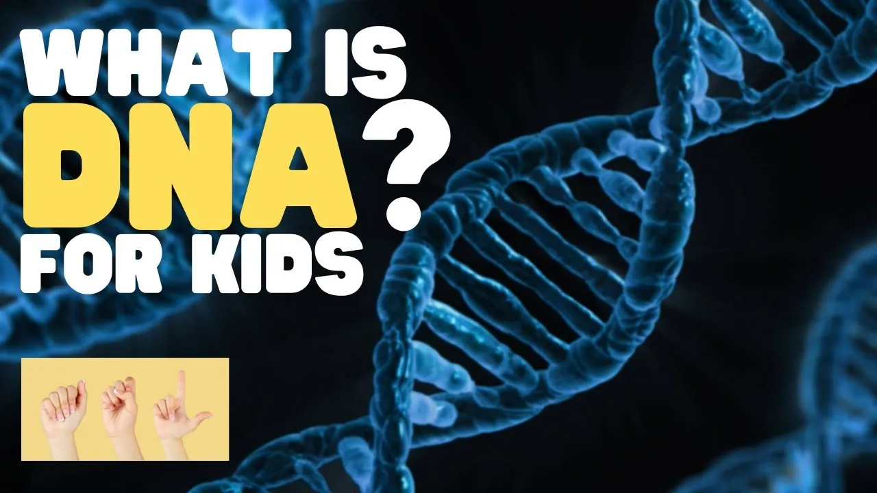 Dna Sign Language ASL What Is DNA? for Kids - ClassX
