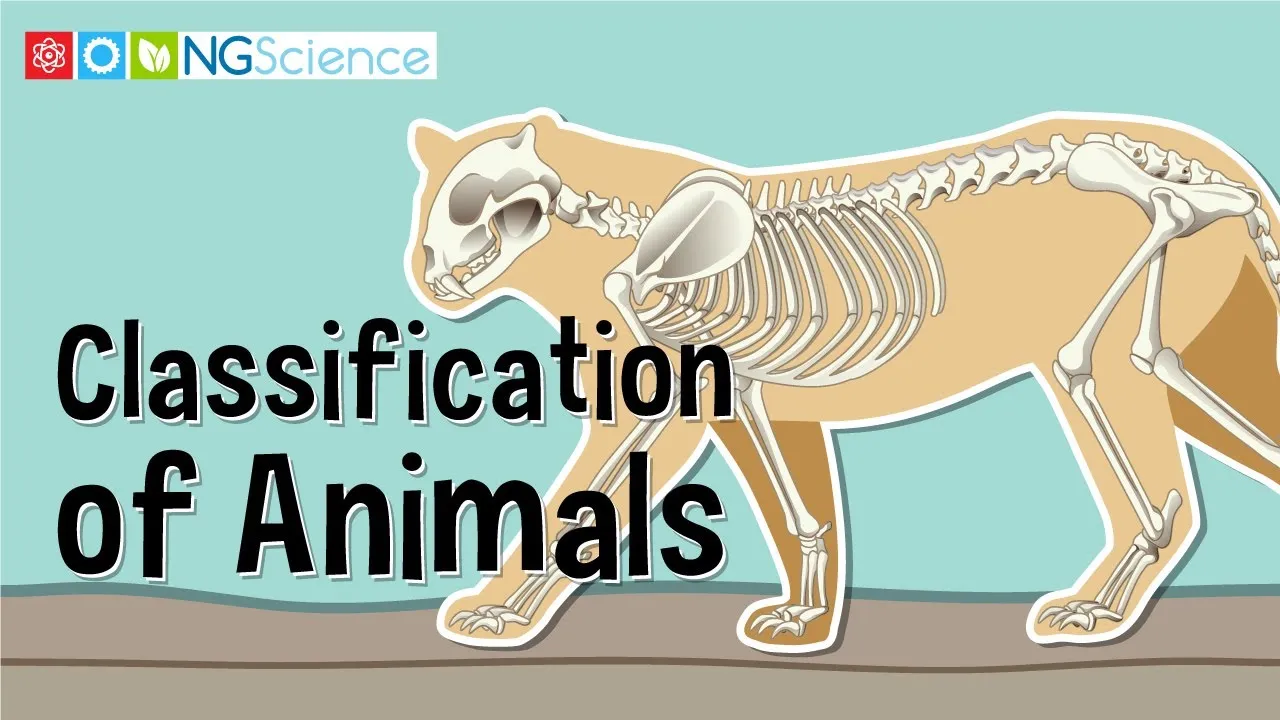 Classification of Animals - ClassX
