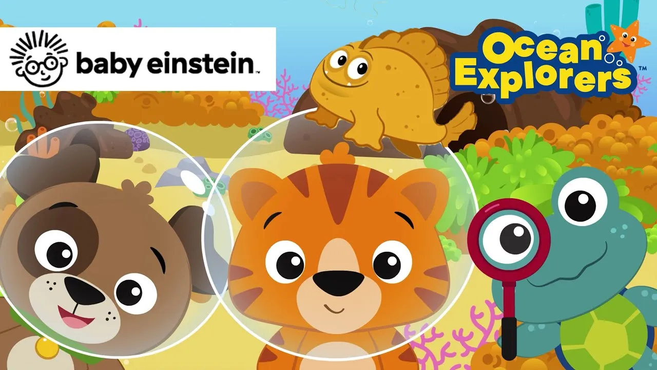 Hide N Seek with Frog Fish | Ocean Explorers Song Compilations - ClassX