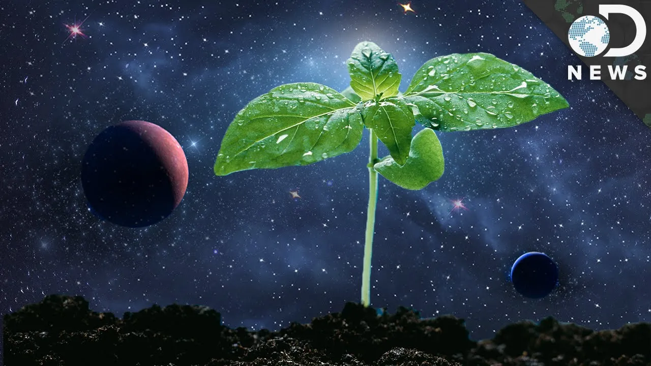 How Astronauts Grow Plants In Space - ClassX
