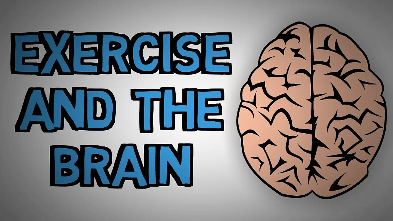How Exercise Benefits Your Brain - Exercise and The Brain (animated ...