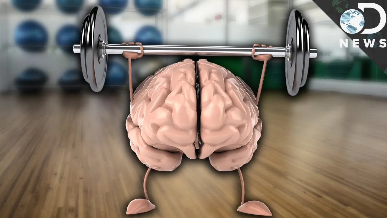 How Exercise Improves Your Memory - ClassX