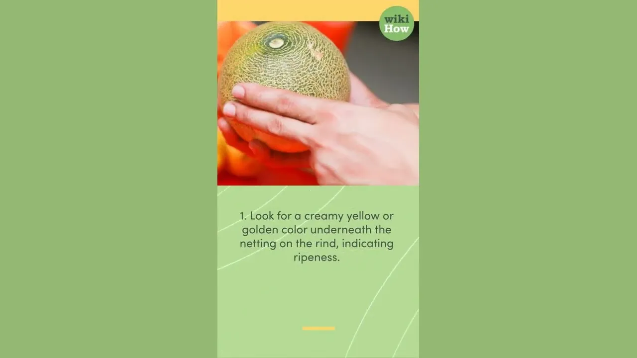 How To Tell Cantaloupe Is Ripe - ClassX
