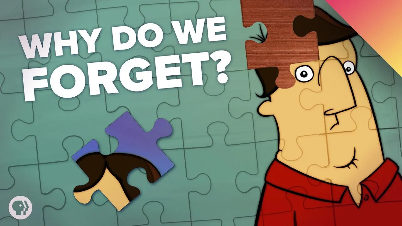 How Your Memory Works Classx