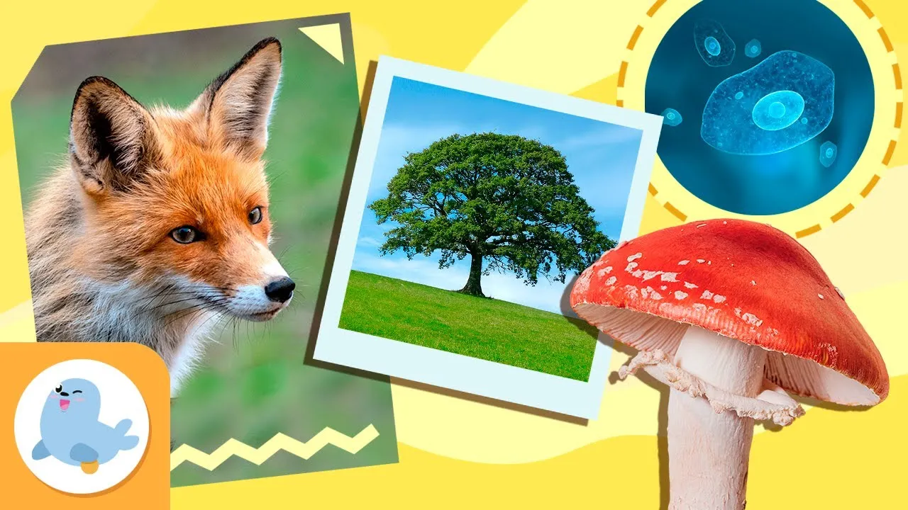 Living Type LIVING BEINGS ???????????? Vital Functions, Classification ...