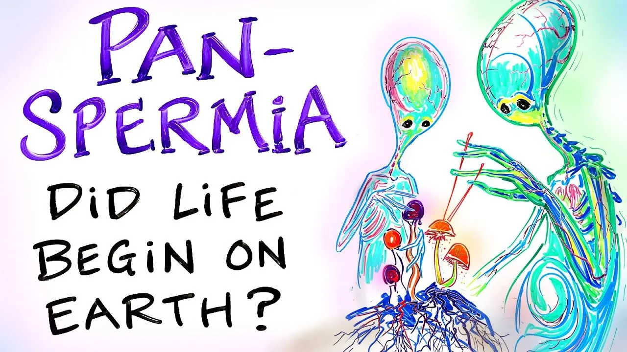 PANSPERMIA - Did Life Begin on Earth? Are Mushrooms USING US to Get to ...