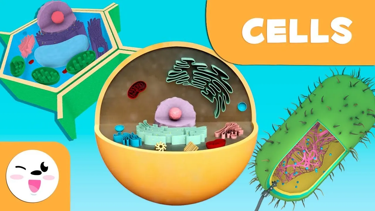 The cell: Structure, functions and its parts - Science for kids - ClassX
