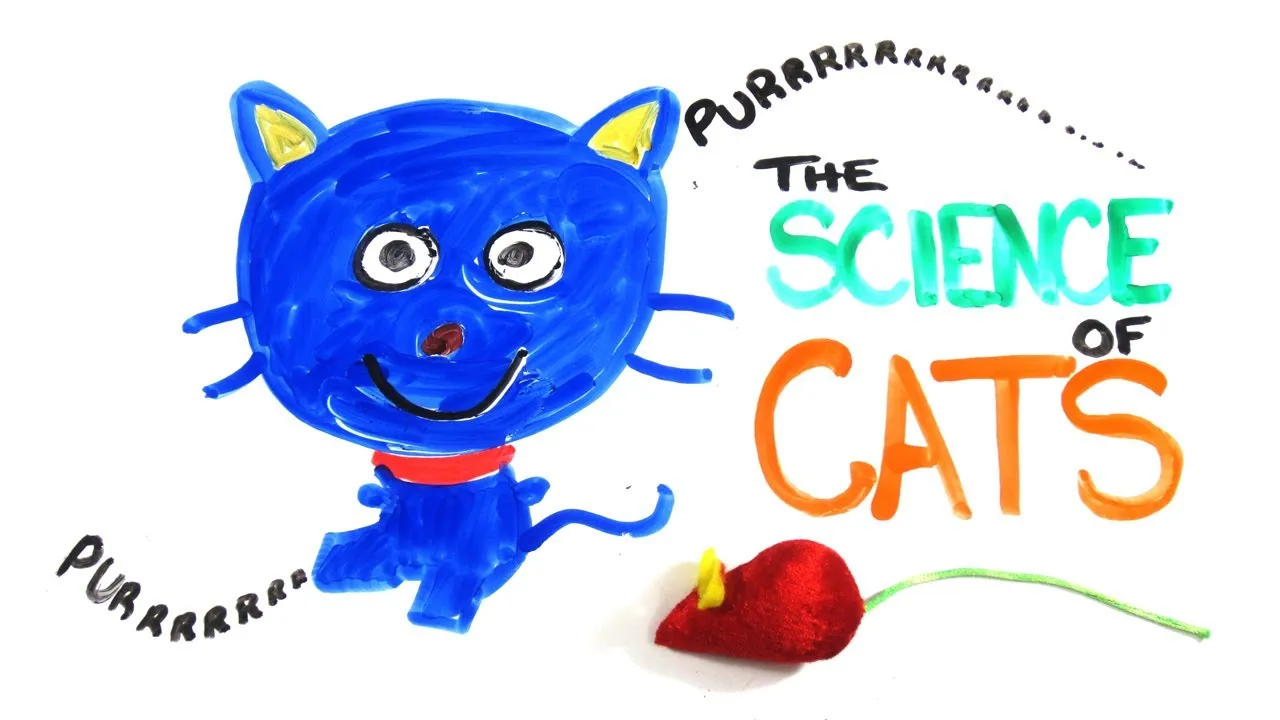 The Science of Cats - ClassX