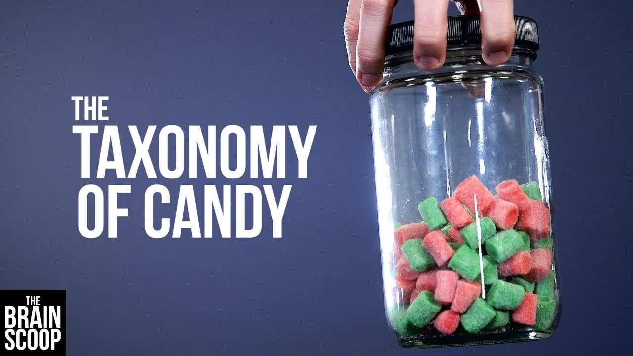 The Taxonomy of Candy - ClassX