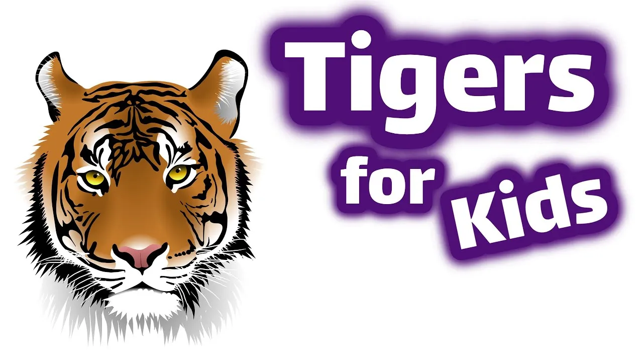 Tigers For Kids Classx