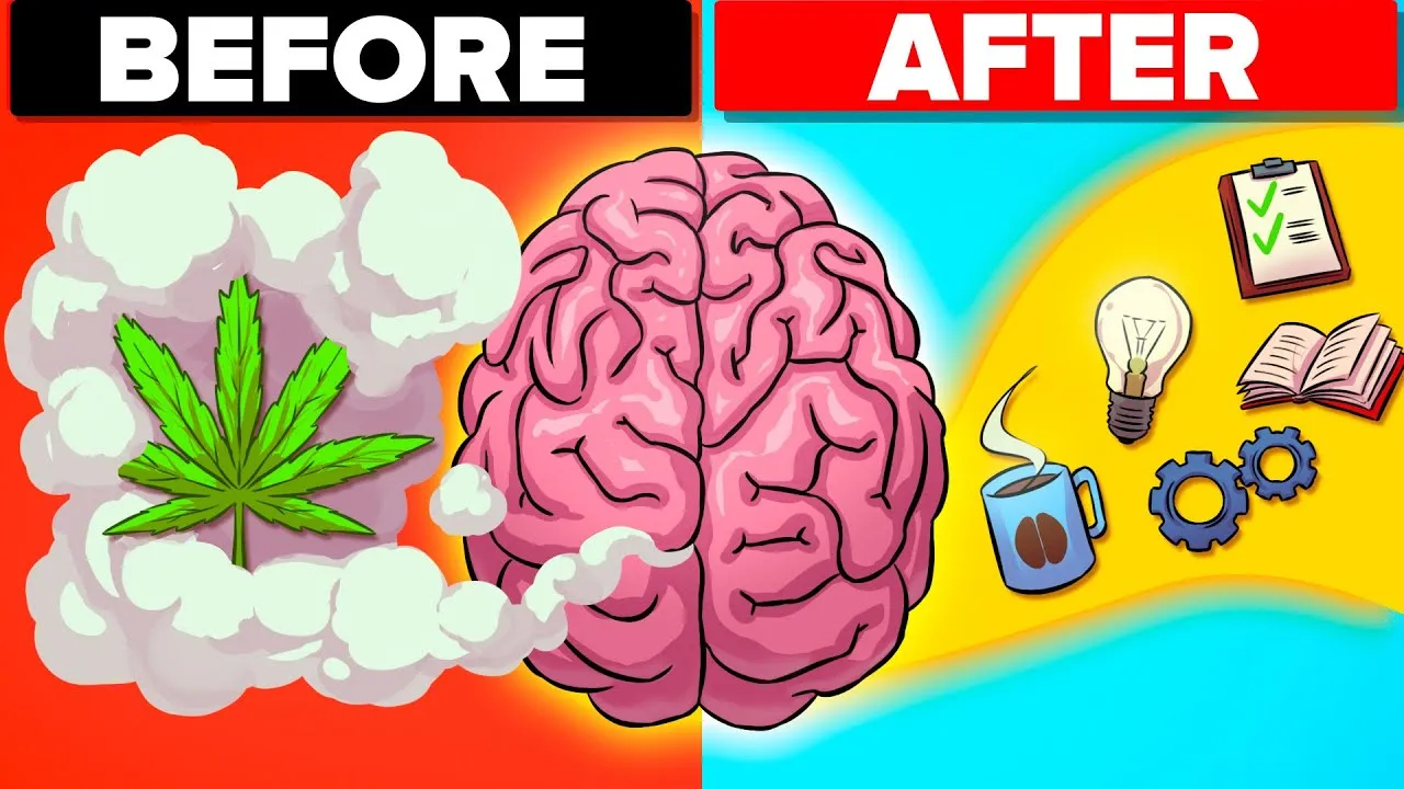 What Happens To Your Body When You Stop Smoking Weed - ClassX