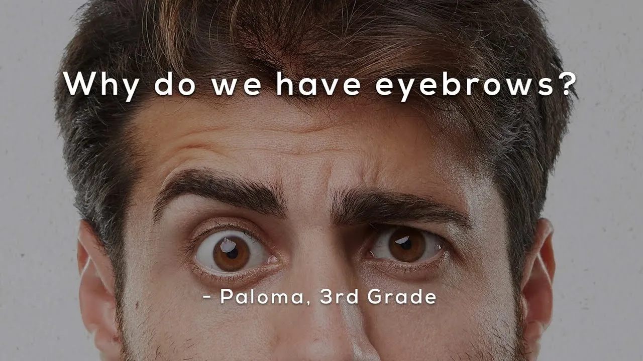 Why do we have eyebrows classx