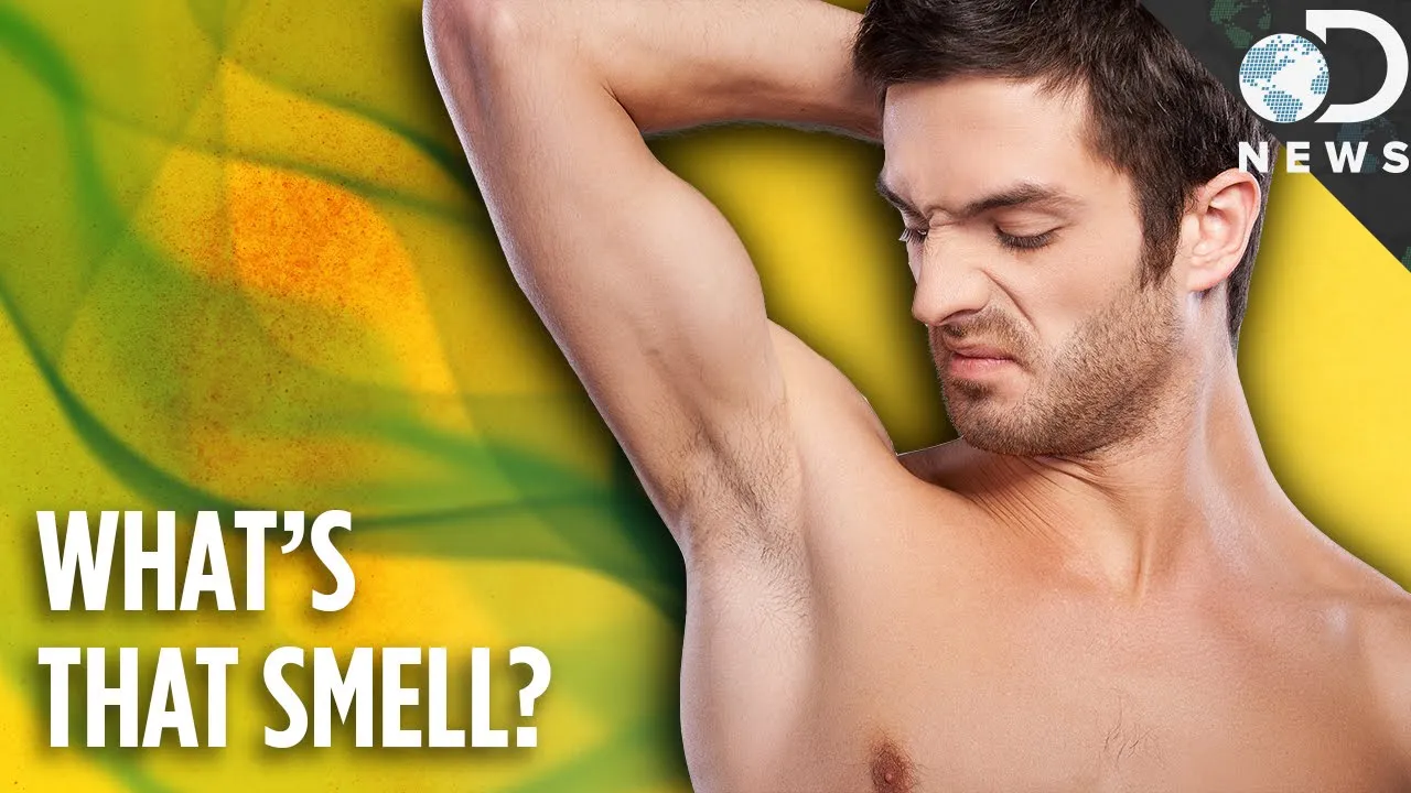 Why Do We Have Such Bad Body Odor? - ClassX