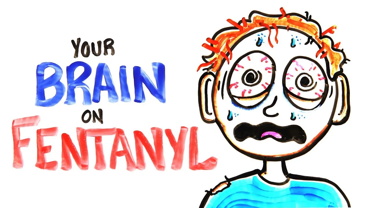 Your Brain On Fentanyl Fixed Classx Your Brain On Fentanyl Fixed Classx